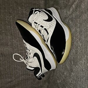 Nike Air LeBron Witness 3 Premium Concord Basketball Shoes